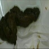 Ana Didovic Blue Toilet Poo