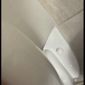 Gassytaylor Blowing Up The Toilet