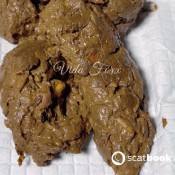 Vidafoxx Shaking My Naked Booty After Pooping