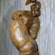 Iamkapri Twerking Before I Shit Helps Shake It Loose Kapri Styles