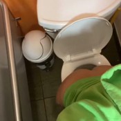 Goddessnixie123 Restroom Public Shit. Had To Urgently Go Goddess Nixie