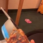 Goddessnixie123 My Newest Shit Eater Goddess Nixie