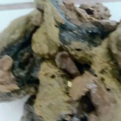 Elurasavage Goth Domme Shits In Fishnets And Sky High Heels