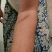 Lucysunflower So Stinky Lucy SunFlower