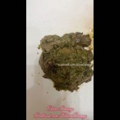 Elurasavage Two Sloppy Diarrhea Loads