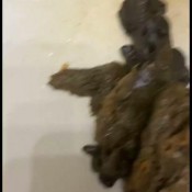 Elurasavage Noisy Sink Poop