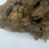 Elurasavage Pov Drenching You In My Load