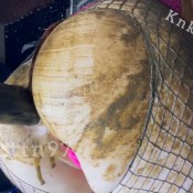 Knkykttn97 Nice And Dirty