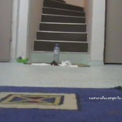 Naturalscatgirls Clip685