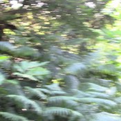 Onlyevamarie Public Wet Girl Farts Eva Marie