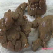 Naturalscatgirls Clip885