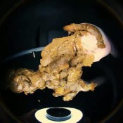 Sweetbettyparlour Sh1t Snake Bite My Operator Closeup Sweet Betty Parlour