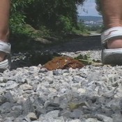 Naturalscatgirls Clip316