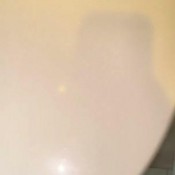 Pulsiferpaprocki Runny Shit 2 Pulsifer Paprocki