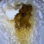 Pulsiferpaprocki Poo With A View Pulsifer Paprocki