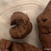 Tinaamazon Firm Shit Tina Amazon