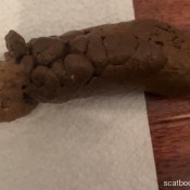 Tinaamazon Thick Log Tina Amazon