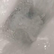 Xobunny3 Freshly Made XOBunnyXox