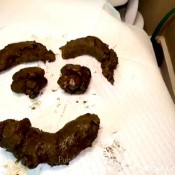 Stretched To My Max Pulsiferpaprocki Pulsifer Paprocki