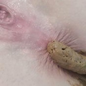 Evamarie88 Close Up Poo Exclusively For Scatbook Eva Marie