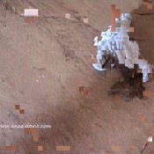 Ana Didovic Ana Tells Her Story And More....