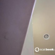 Princessjersey Shower Shit