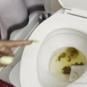 Fartsbytierra I Had The Bubble Guts This Morning Tierradoll