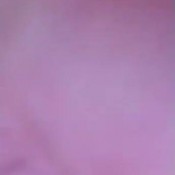 Mzjigglygoddess Gassyjiggly