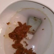 Mistressk Listen To Me Talk About What I Ate Before I Take A Big Shit