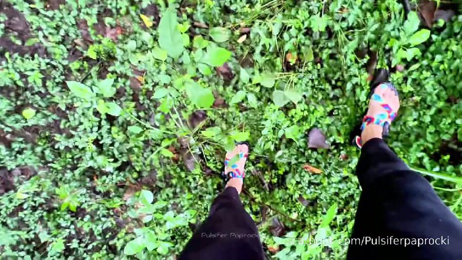 cumberland river shit 4 lost in woods pulsiferpaprocki