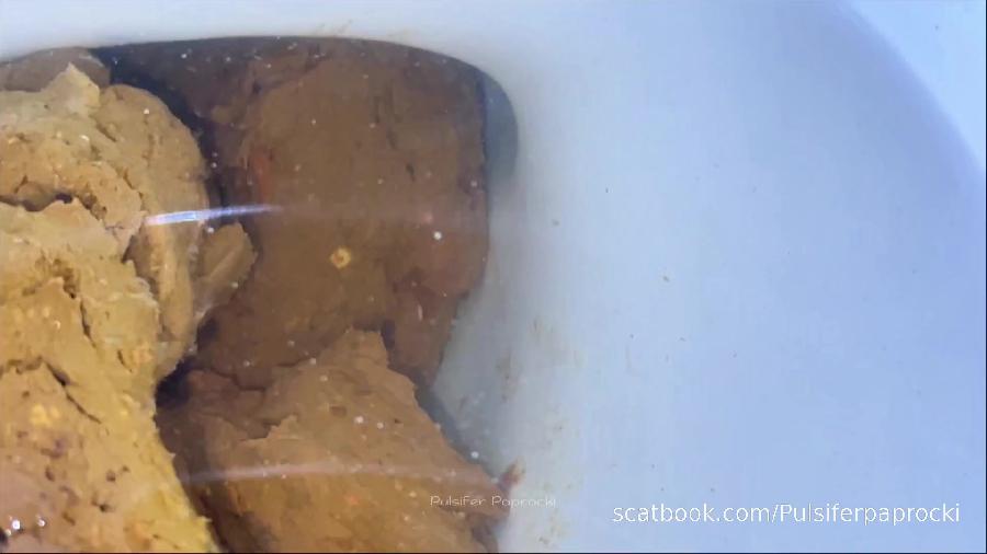 Big Log In Toilet Pulsiferpaprocki Pulsifer Paprocki